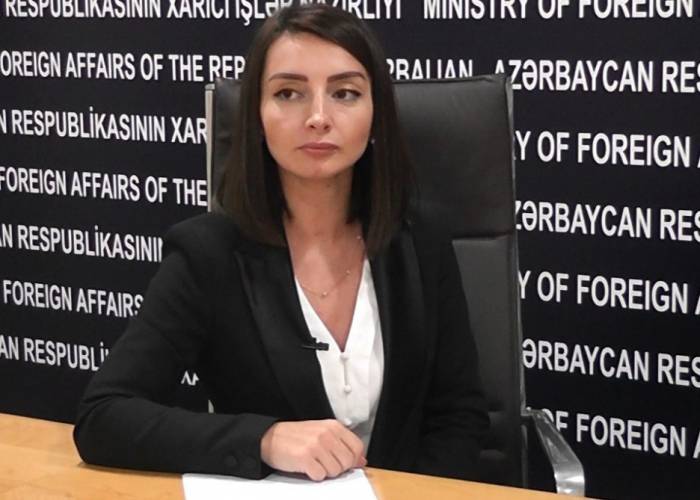 Лейла Абдуллаева выразила отношение к комментарию пресс-секретаря МИД Армении
