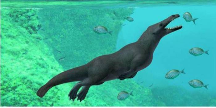 В Перу обнаружили останки древнего четвероногого кита
