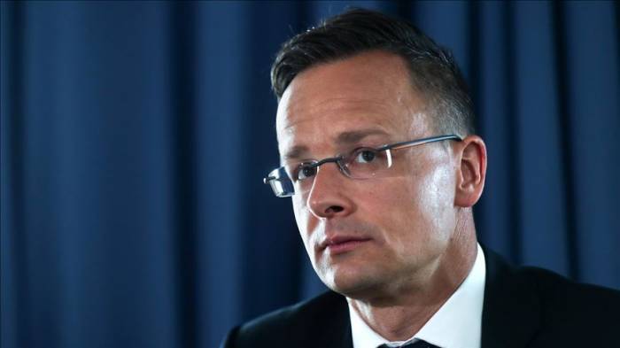 Глава МИД Венгрии раскритиковал украинский закон о госязыке
