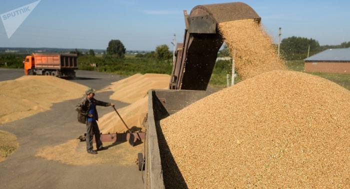 Иран собрался нарастить закупки пшеницы у России
