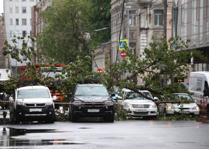 В Северной Осетии погиб человек во время урагана