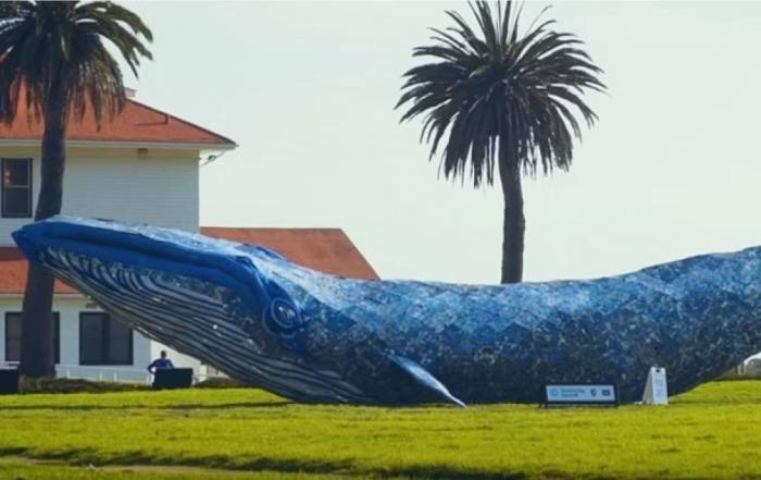 В США создали самого большого кита из пластика
