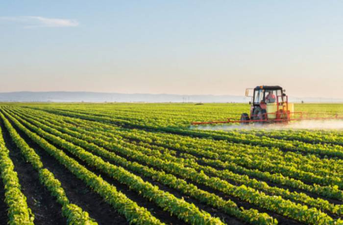 Аграрный сектор Азербайджана вырос на 7%
