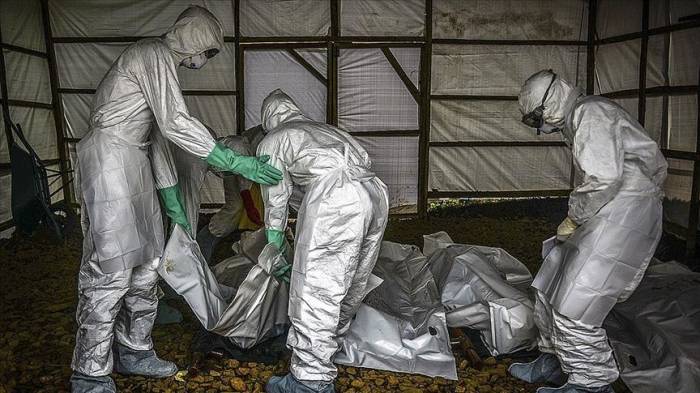 В Демреспублике Конго назвали число жертв лихорадки Эбола

