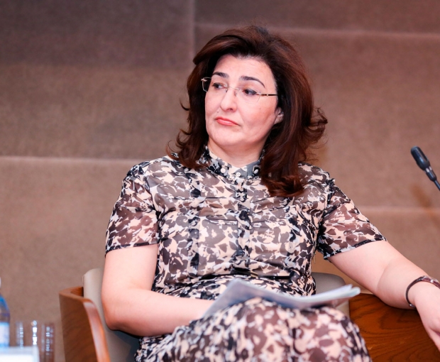 Замминистра: В Азербайджане есть политическая воля для реализации Целей устойчивого развития
