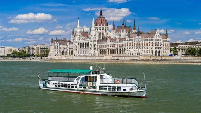 Число жертв крушения катера на Дунае достигло 17
