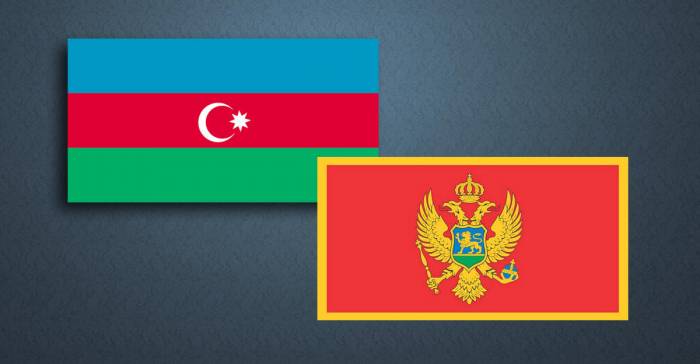 В Баку проходит бизнес-форум Азербайджан-Черногория
