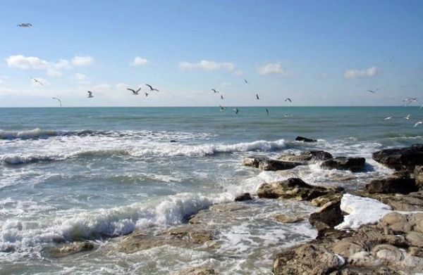 МЭПР распространило информацию о снижении уровня Каспийского моря