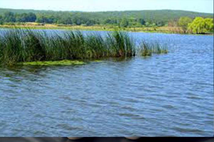 В Гобустане 2 подростка утонули в озере
