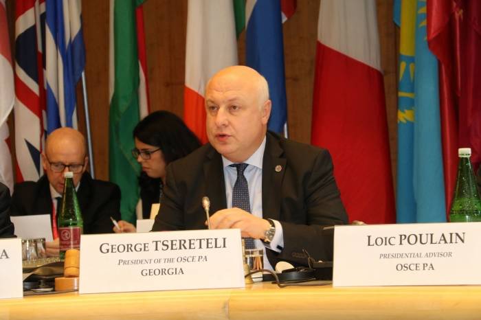Председатель ПА ОБСЕ: Мы поддерживаем усилия Азербайджана
