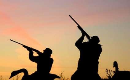 Министерство экологии выступило с заявлением в связи с запретами и ограничениями на охоту