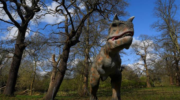 Гигантский след тираннозавра найден в Китае