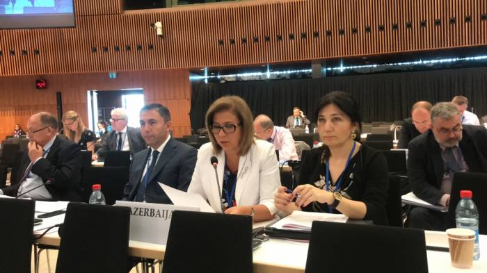 В ПА ОБСЕ принята поправка, предложенная азербайджанской делегацией