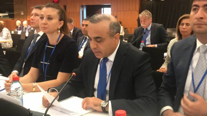 Депутат Азай Гулиев выступил на заключительном пленарном заседании ПА ОБСЕ