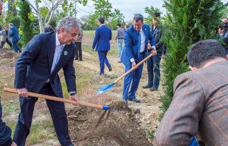 Али Ахмедов: Во время постройки предприятий не должны вырубаться деревья
