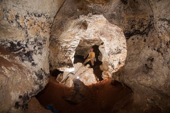 Ученый рассказал о находках в пещере "Таврида"
