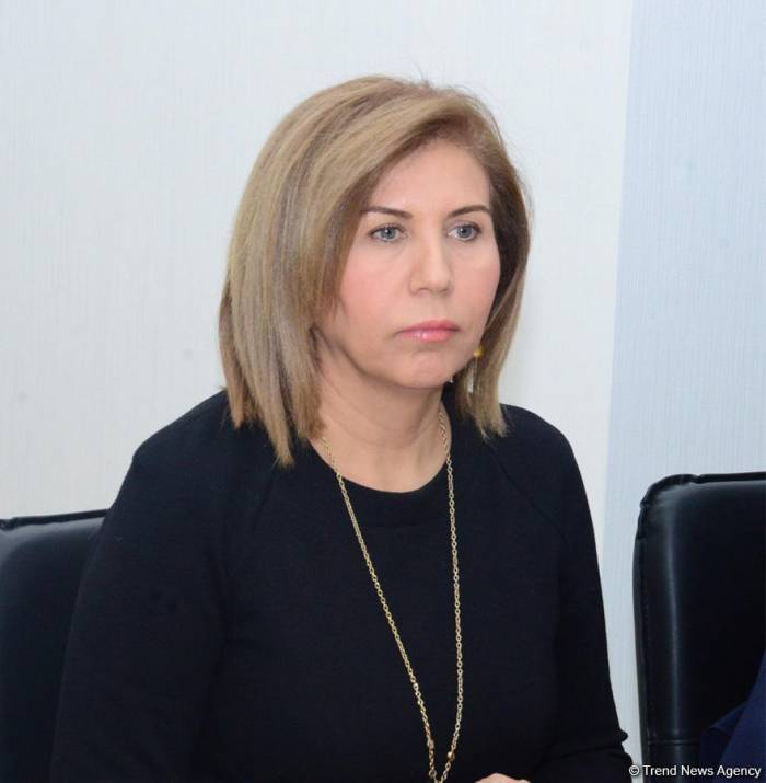 Бахар Мурадова: «Переговоры ради переговоров» не способствуют решению нагорно-карабахского конфликта
