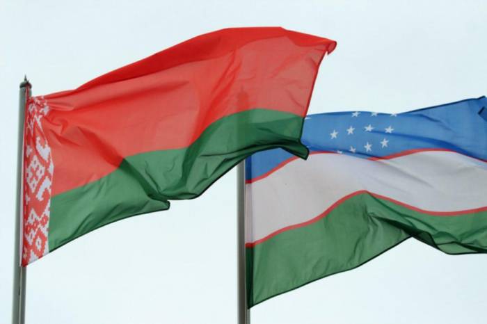 Беларусь и Узбекистан будут развивать сотрудничество в сфере информационно-коммуникационных технологий
