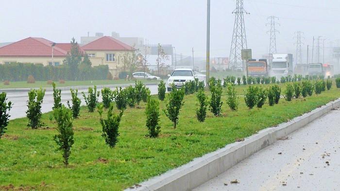 ПЕА и миэкологии презентовали в Баку план совместной деятельности
