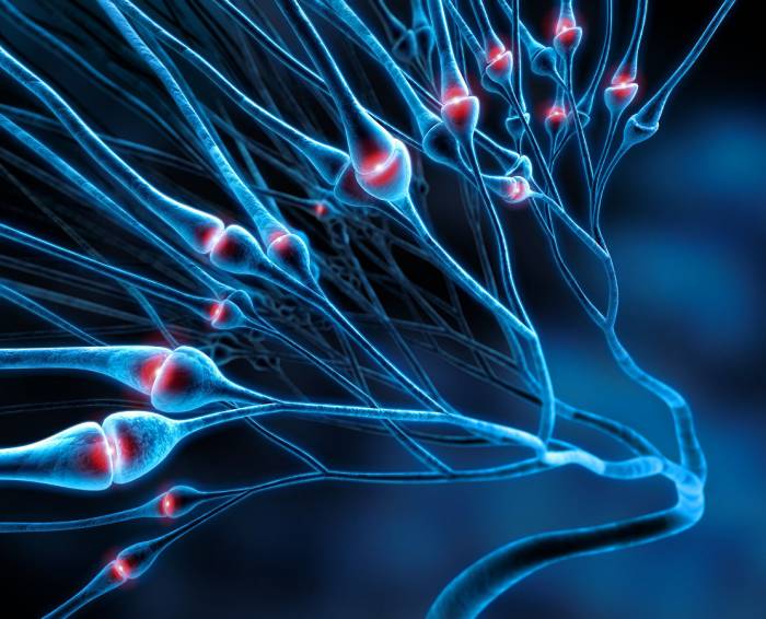 Ученые выяснили, как заставить мозг избавиться от рассеянного склероза
