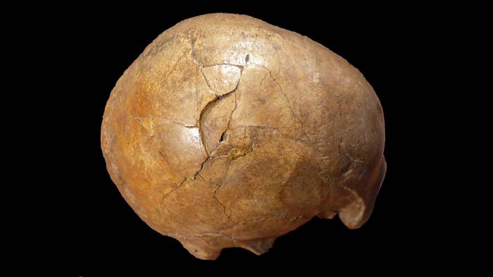 Найдены следы древнейшего убийства в истории человечества
