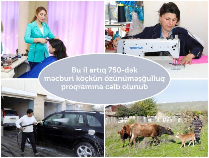 В Азербайджане с начала года к программе самозанятости привлечено до 750 вынужденных переселенцев
