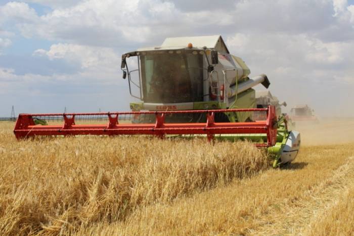 В Азербайджане собрали 31% урожая зерновых
