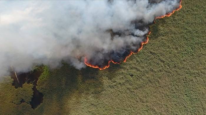 Около десяти тысяч человек тушат пожары в российских лесах