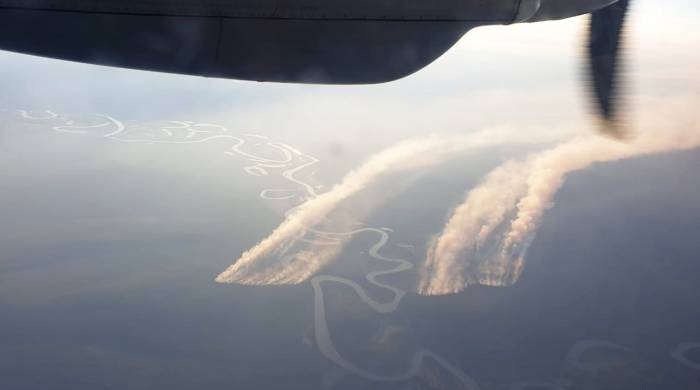 Дым от пожаров в лесах окутал почти 180 населенных пунктов России