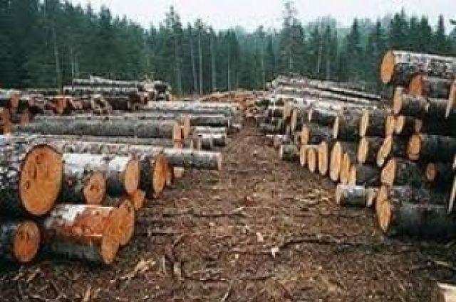 Казахстан ввел ограничение на экспорт лесоматериала
