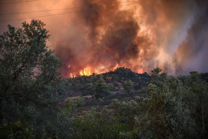 В окрестностях Афин власти эвакуируют жителей из-за пожара