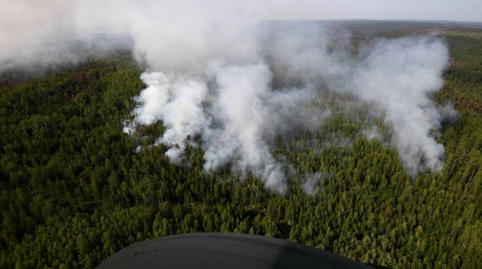 Глава Бурятии назвал причину лесных пожаров в регионе
