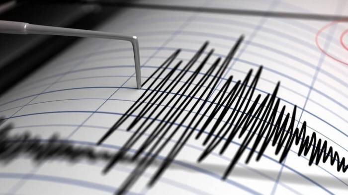 На юге Италии произошло землетрясение 
