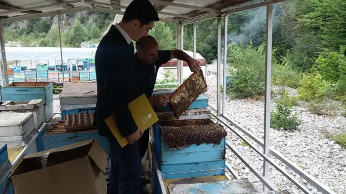 В Азербайджане поддержали предпринимателей-пчеловодов 
