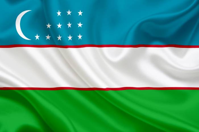 Узбекистан подал заявку на вступление в Тюркский совет
