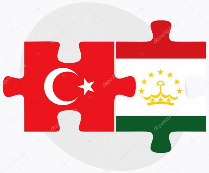 Таджикистан и Турция расширяют сотрудничества в сфере образования

