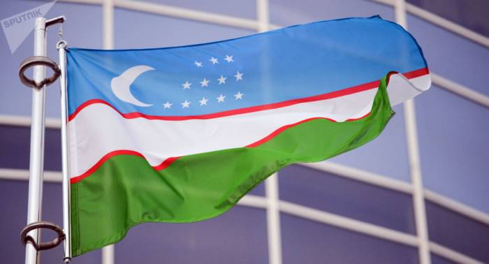 Узбекистан планирует вступить в Тюркский совет