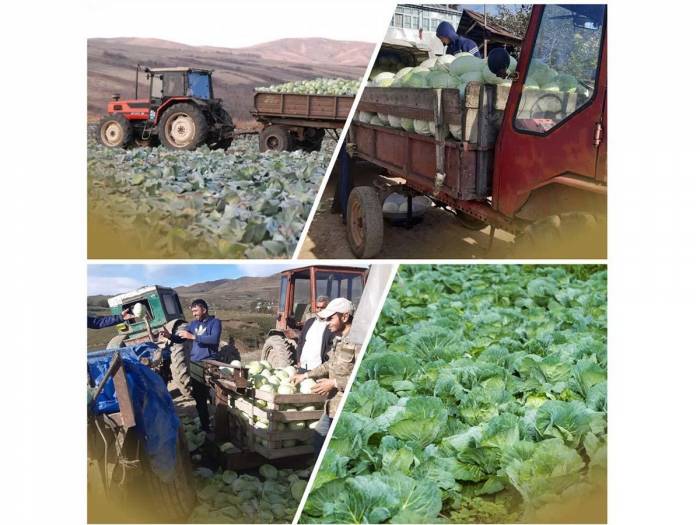 Агентство по развитию МСБ Азербайджана помогло фермерам реализовать продукцию
