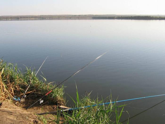 Минэкологии и природных ресурсов Азербайджана о несоблюдении правил рыболовства
