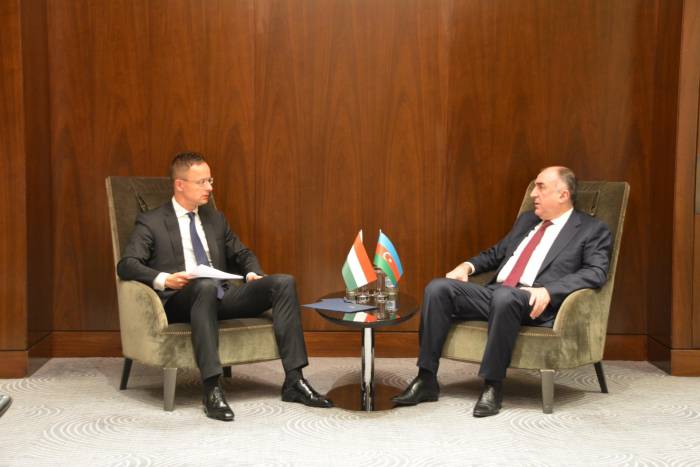 Глава МИД Азербайджана встретился с министром иностранных дел и торговли Венгрии - ФОТО