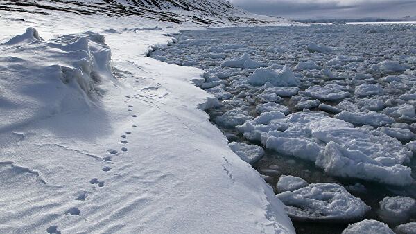 Гидрограф: открытые в Арктике острова расскажут о зарождении жизни на Земле

