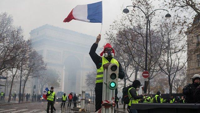 Экологические активисты провели манифестацию в Париже
