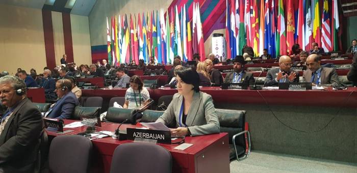 Азербайджанская делегация участвует в работе 141-й Ассамблеи Межпарламентского союза

