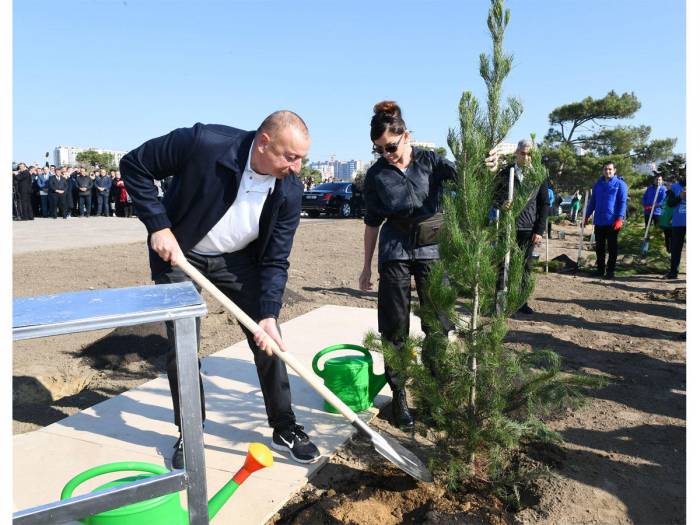 Ильхам Алиев и Мехрибан Алиева  приняли участие в акции по посадке деревьев в Хатаи - ФОТО