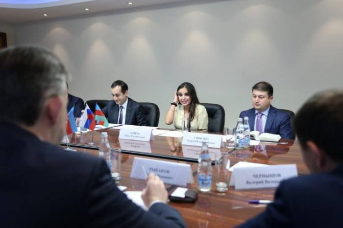 Лейла Алиева провела в Москве двусторонние встречи - ФОТО
