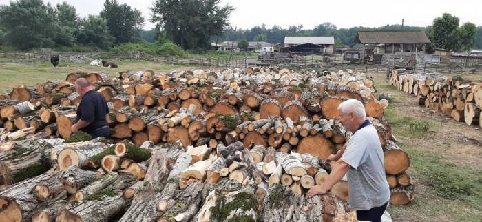 Беларусь планирует поставлять в Австрию лесоматериалы