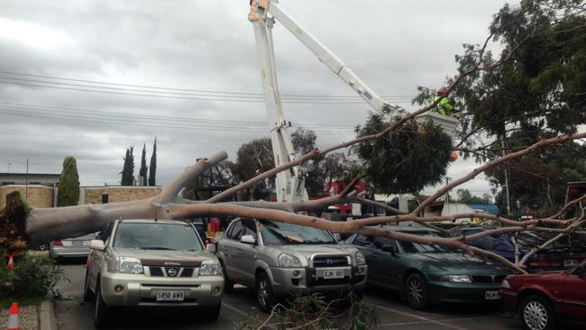 Около 100 тыс. домов остались без электричества из-за шторма на юго-западе Франции
