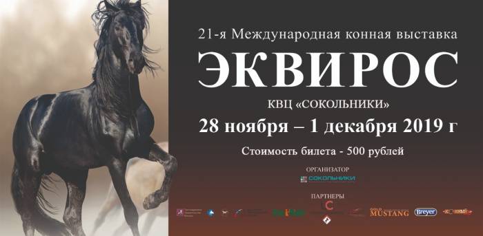 В Москве впервые пройдёт выставка карабахских скакунов
