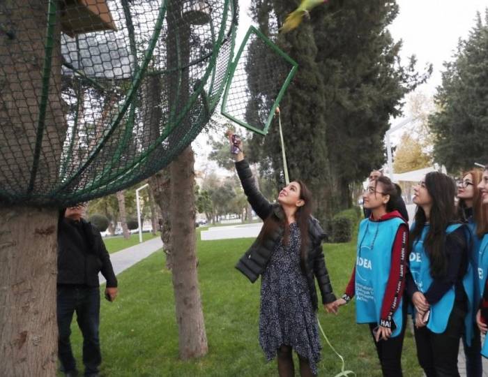 С участием вице-президента Фонда Гейдара Алиева Лейлы Алиевой в парке, расположенном на проспекте Ататюрка в Баку, были выпущены 10 попугаев