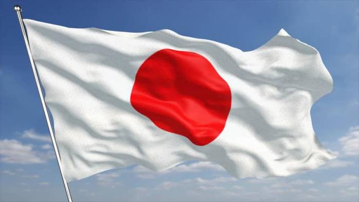 Посол в Токио рассказал об озабоченностях альянсом США и Японии
